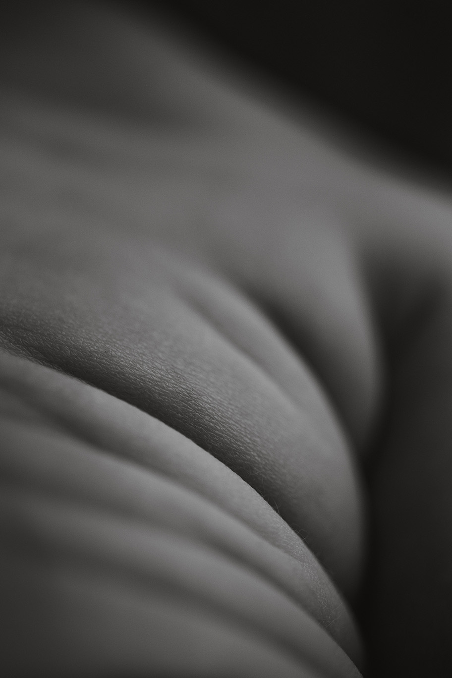 hanne-baranefoto-84