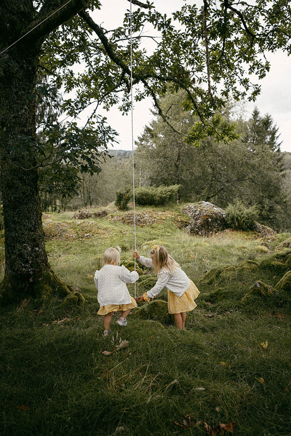 hannebaranefoto14