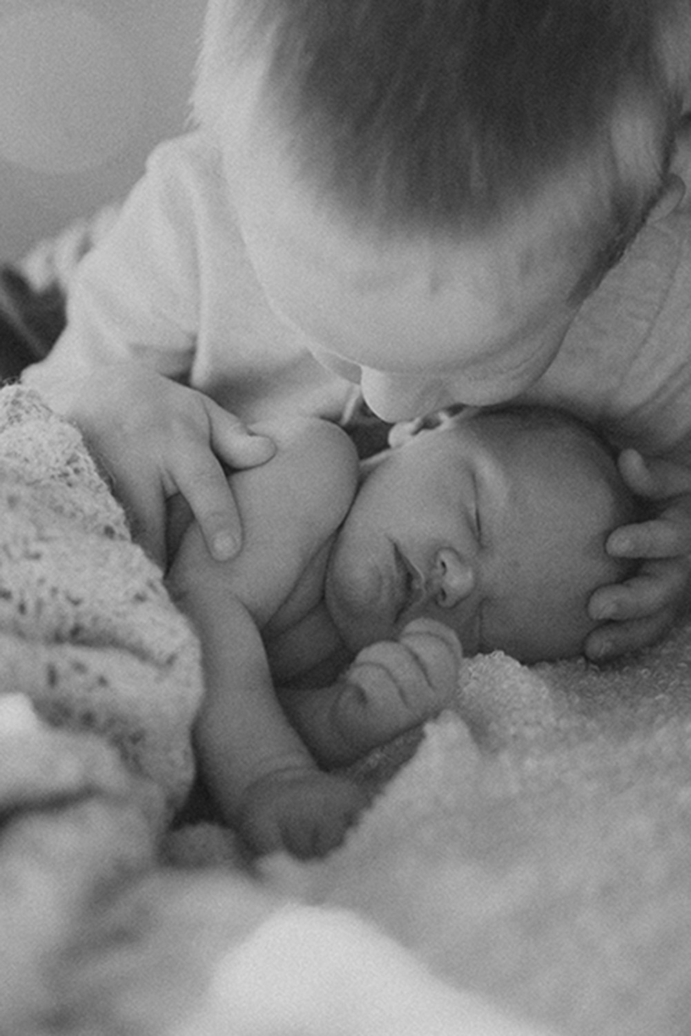 hannebaranefoto222