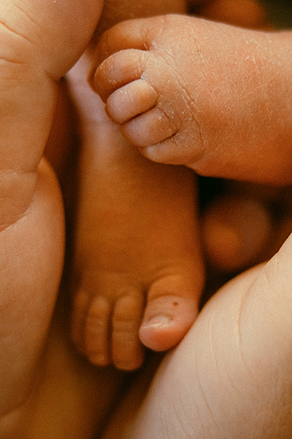 hannebaranefoto23