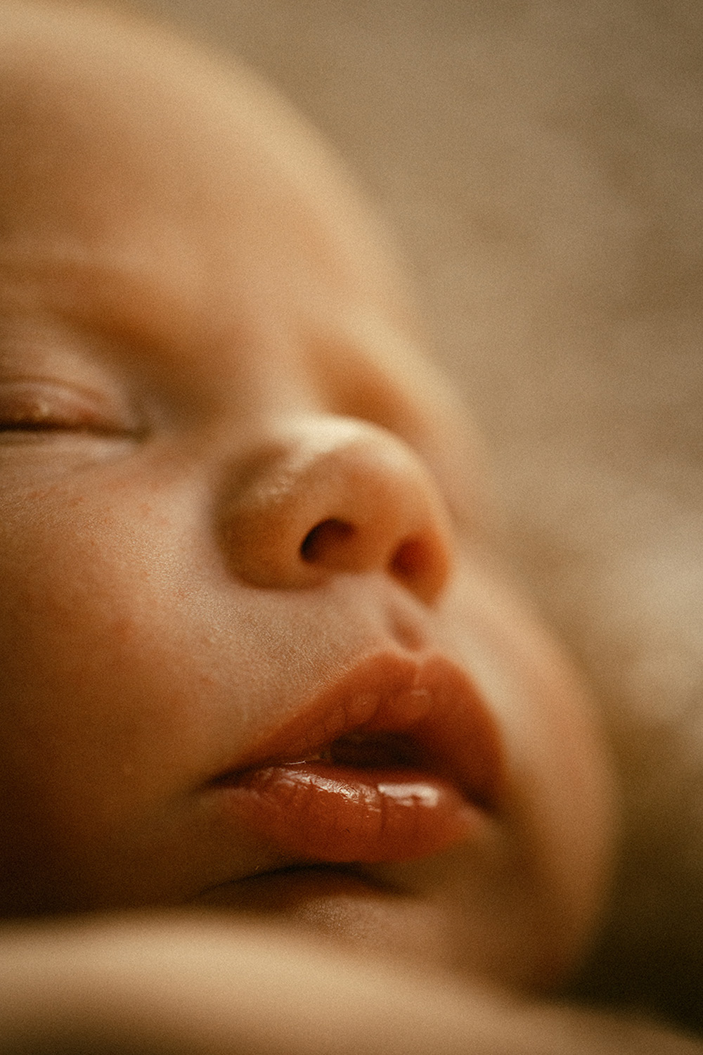 hannebaranefoto25