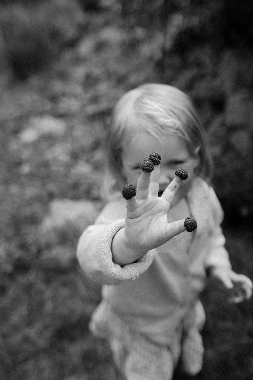 hannebaranefoto56